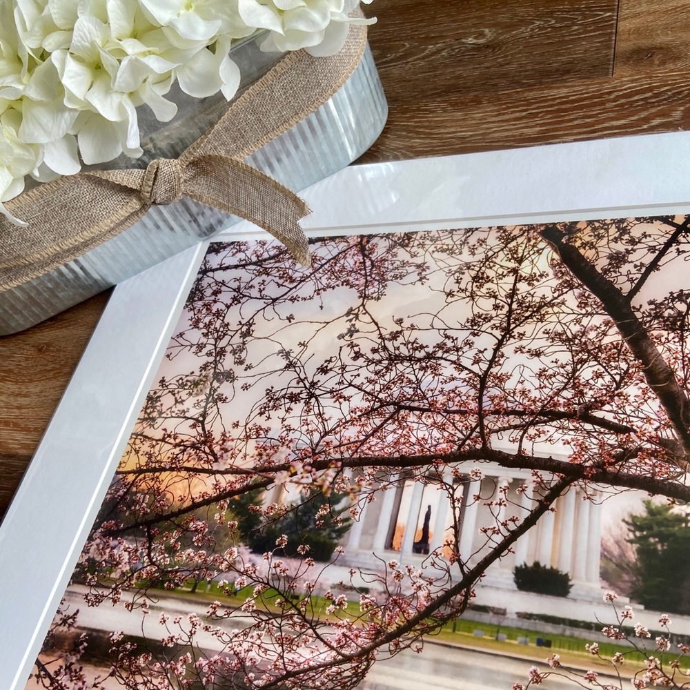 Wall Art-Image-Jefferson Memorial& Cherry Blossoms